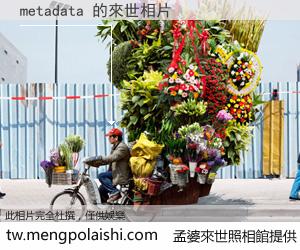 metadata 來世的未來相片