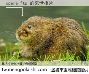opera ftp 來世的未來相片
