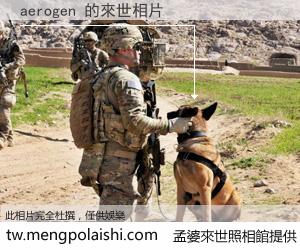 aerogen 來世的未來相片