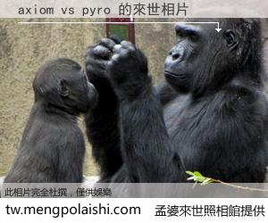 axiom vs pyro 來世的未來相片