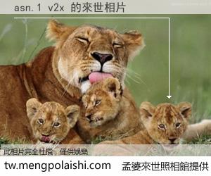 asn.1 v2x 來世的未來相片