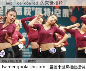 awp ice coaled 來世的未來相片