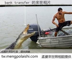 bank transfer 來世的未來相片