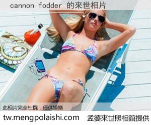 cannon fodder 來世的未來相片