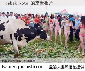 cabak kota 來世的未來相片