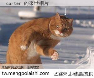 carter 來世的未來相片