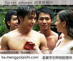 furret pokemon 來世的未來相片