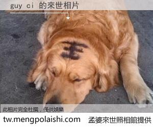 guy ci 來世的未來相片
