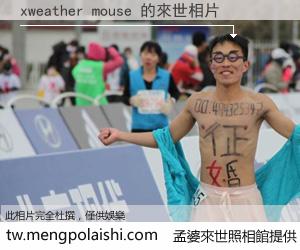 xweather mouse 來世的未來相片