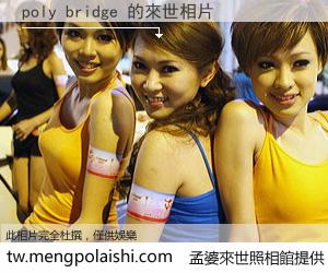 poly bridge 來世的未來相片