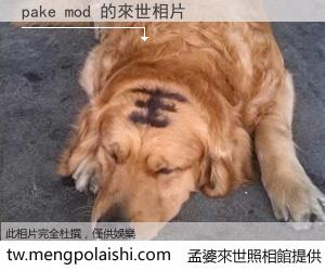 pake mod 來世的未來相片
