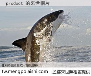 product 來世的未來相片