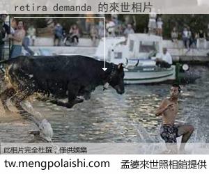 retira demanda 來世的未來相片