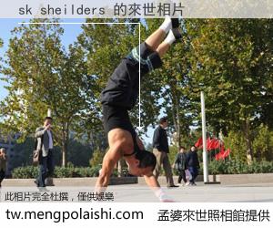 sk sheilders 來世的未來相片