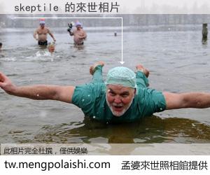 skeptile 來世的未來相片