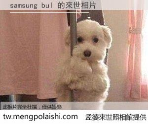 samsung bul 來世的未來相片