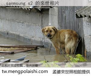 sanmsung s2 來世的未來相片