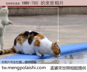 seesaa HMN-780 來世的未來相片