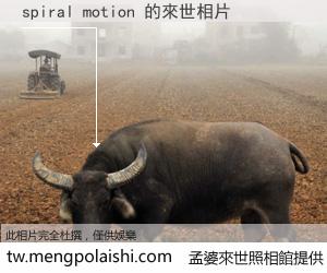 spiral motion 來世的未來相片