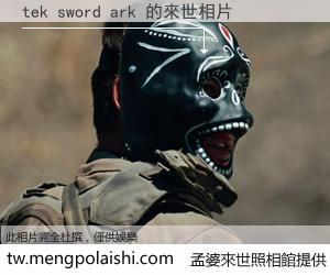 tek sword ark 來世的未來相片