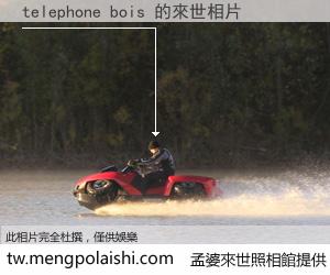 telephone bois 來世的未來相片