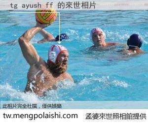 tg ayush ff 來世的未來相片