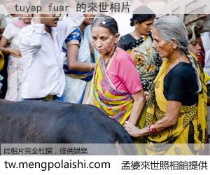 tuyap fuar 來世的未來相片