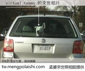 virtual teams 來世的未來相片