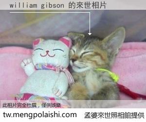 william gibson 來世的未來相片
