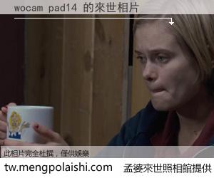 wocam pad14 來世的未來相片