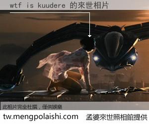 wtf is kuudere 來世的未來相片