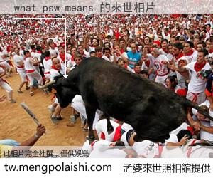 what psw means 來世的未來相片