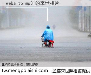 weba to mp3 來世的未來相片