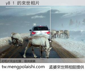 y8 1 來世的未來相片