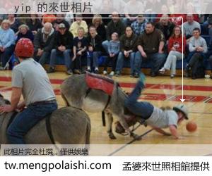 yip 來世的未來相片