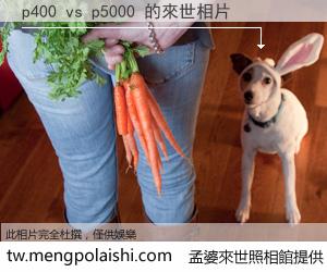 p400 vs p5000 來世的未來相片