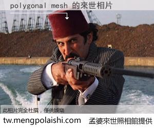 polygonal mesh 來世的未來相片