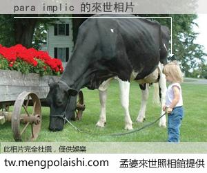 para implic 來世的未來相片