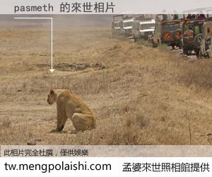 pasmeth 來世的未來相片