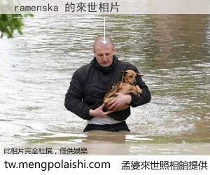 ramenska 來世的未來相片
