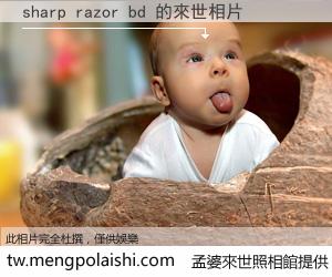 sharp razor bd 來世的未來相片
