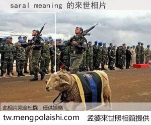 saral meaning 來世的未來相片