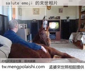 salute emoji 來世的未來相片