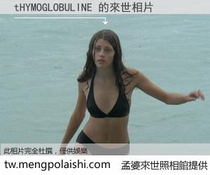 tHYMOGLOBULINE 來世的未來相片