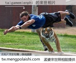 taigamemienphi 來世的未來相片