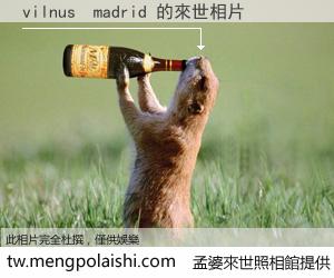 vilnus  madrid 來世的未來相片