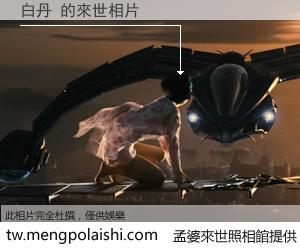 白丹 來世的未來相片