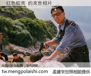 红色胶壳 來世的未來相片