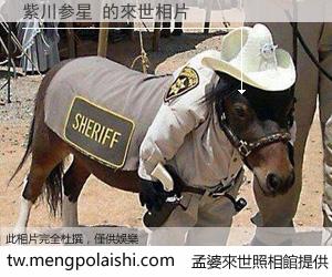 紫川参星 來世的未來相片