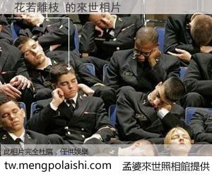 花若離枝 來世的未來相片